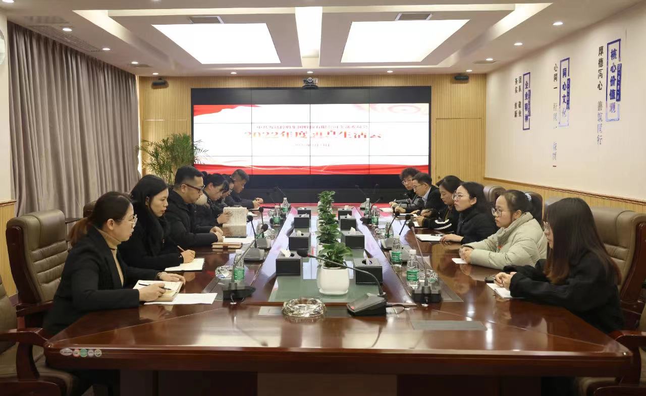 發(fā)達(dá)控股集團(tuán)黨支部召開2022年度組織生活會(huì)